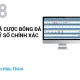 CÁ CƯỢC BÓNG ĐÁ - TỶ SỐ CHÍNH XÁC